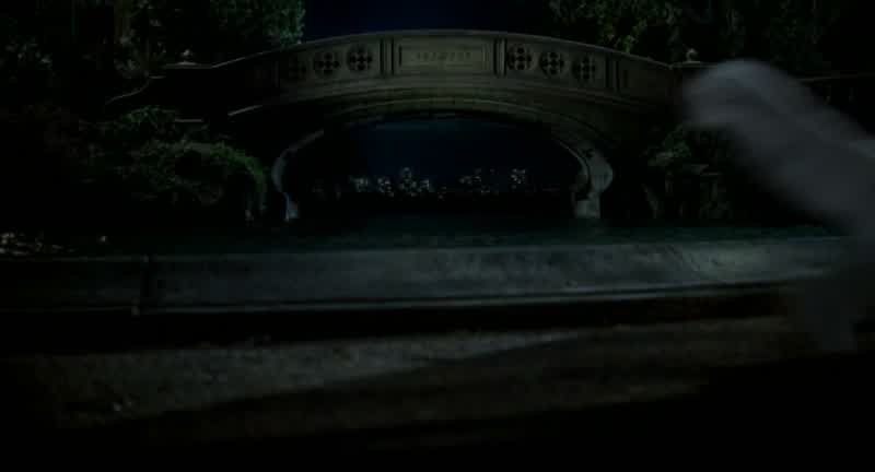 Didn't your mothers warn you not to go into Central Park at nightMy mother was the reason you didn't go into Central Park at night