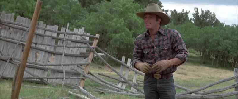 Didn't want you sneaking back for your damn cattle