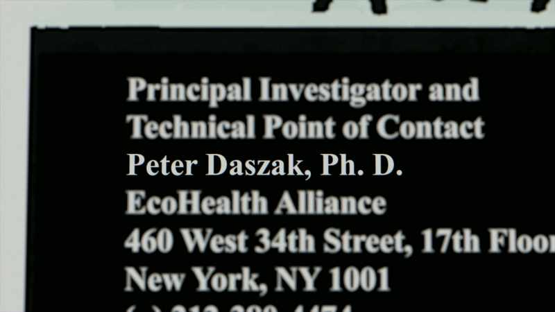 Diffuse is written by Peter Daschick