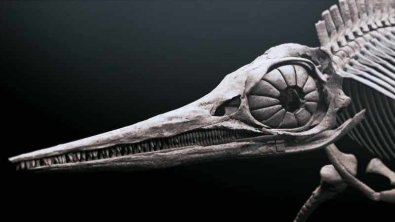 Digital reconstruction