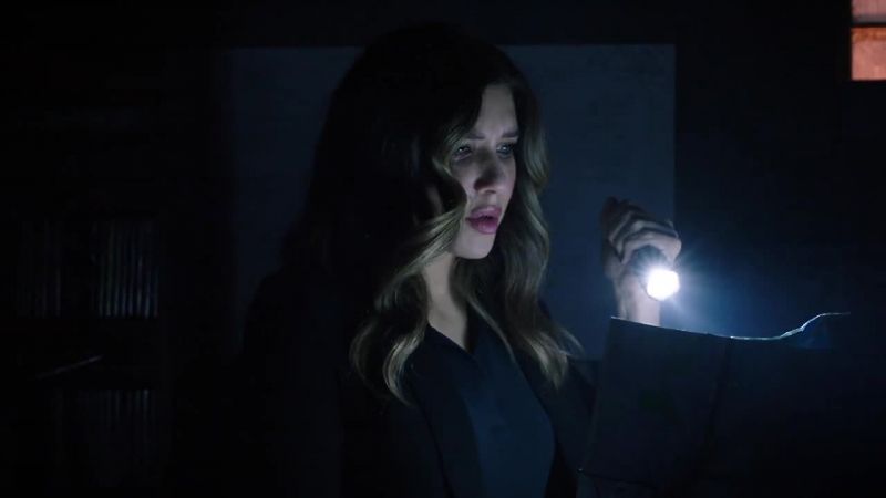 DINAH: HUH. SAM HAD A SEARCH TRIP PLANNED