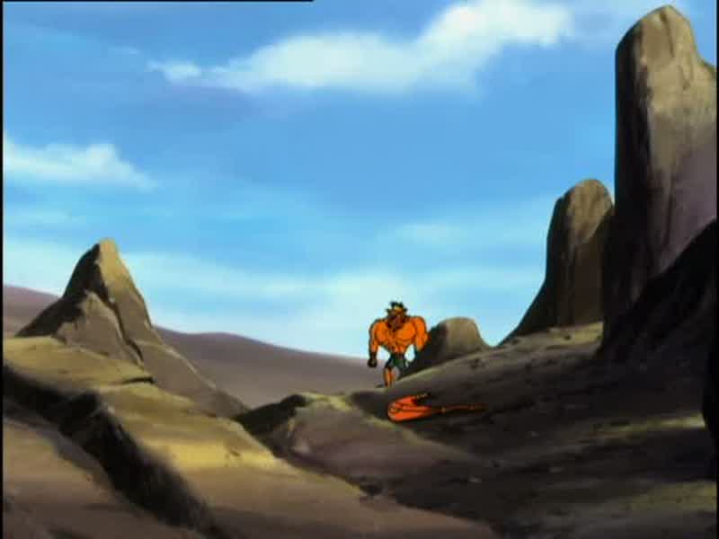 DINGO: LOOK!