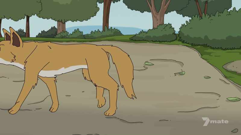 (dingo whines)