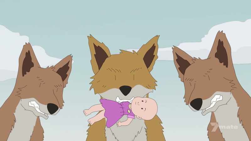 (dingoes growling)