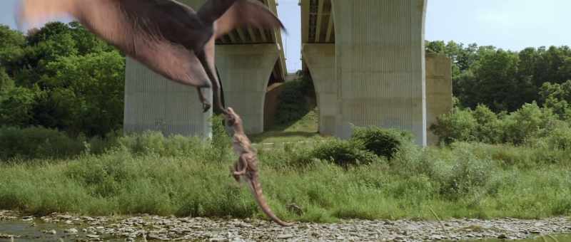 [dinosaurs screeching]