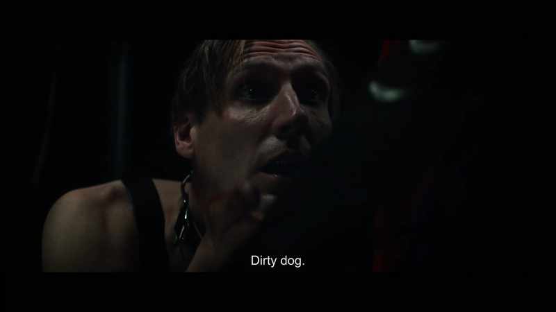 Dirty dog