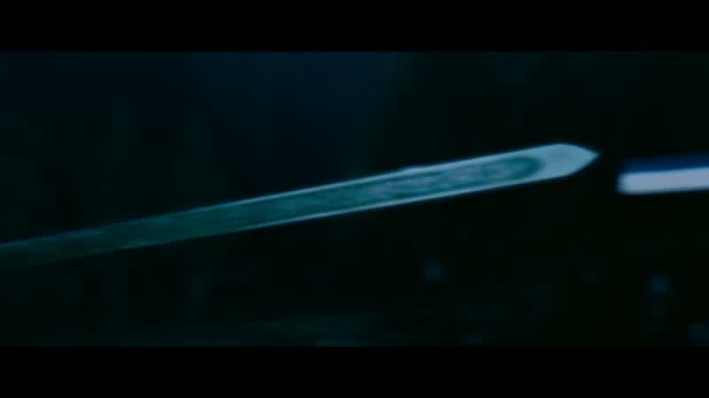 Disciple, we'll kill them all!