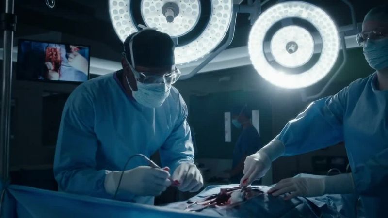 Dissecting to the spine