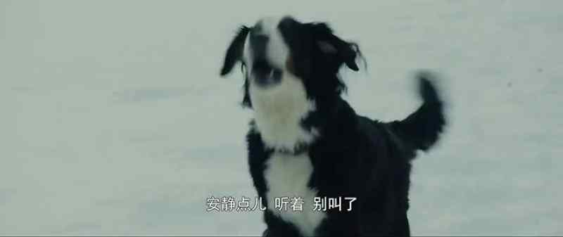 (DISTANT BARKING)