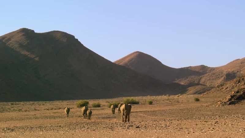 Distant trees are a sign of water