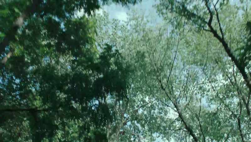 �� Distill