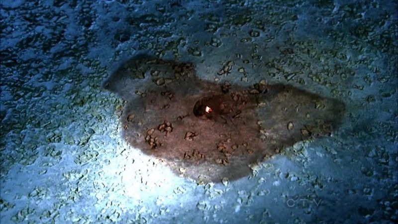 Divot in the pavement, some dry blood