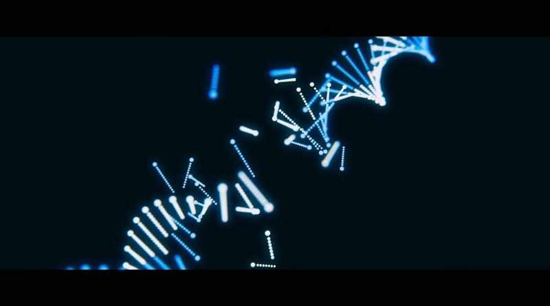 DNA breaks all the time