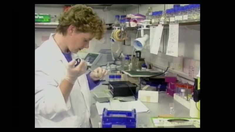 DNA testing was possible on them with modern science