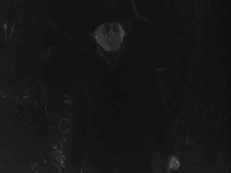 Do dead men walk?