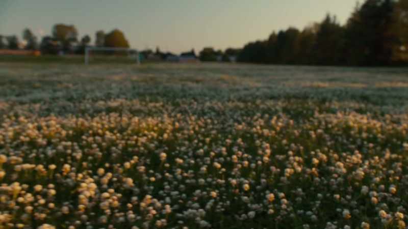 do-feel-a-little-broken