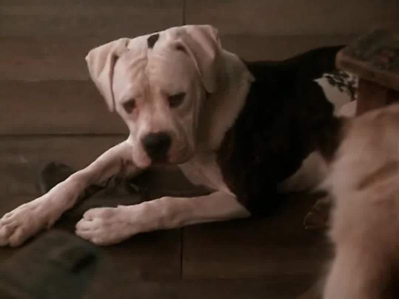 Do you have any idea where that's been