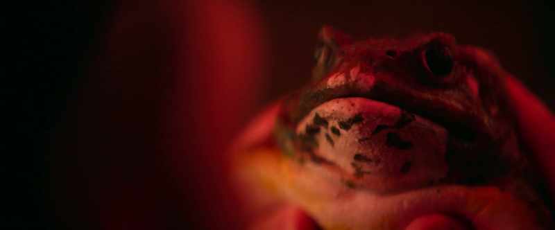 Do you have any idea what you just did?