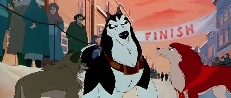 Do you honestly think any musher would ever put you on his team