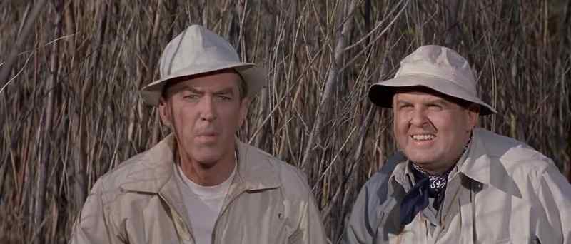 Do you know what that is, Hobbsy? - Barn swallow?