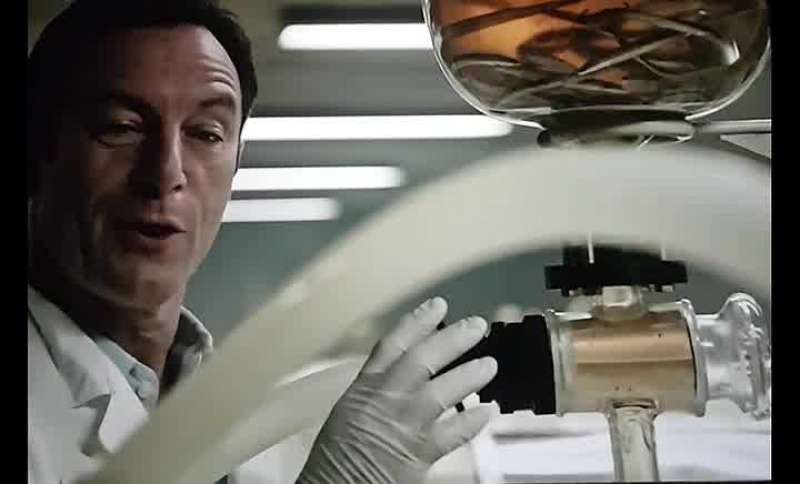 Do you know what the cure for the human condition is