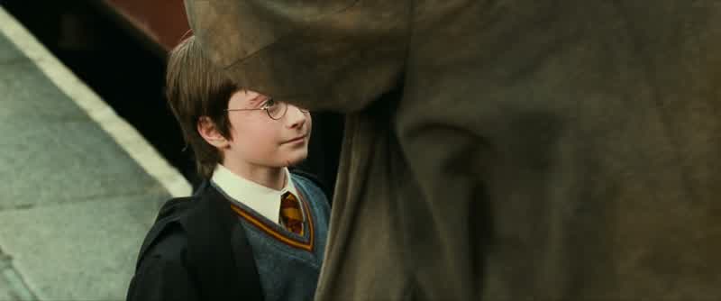 Harry do you know whyProfessor Quirrell couldn't bear to have you touch himIt was because of your mother She sacrificed herself for youAnd that kind of act leaves a markNo this kind of mark cannot be