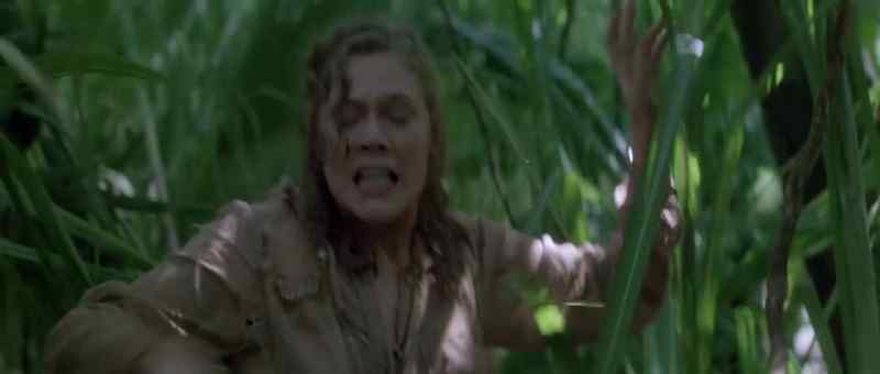 Do you know where you're going? - Looks like a trail