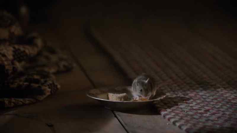 Do you like being a mouse, Jenkins?