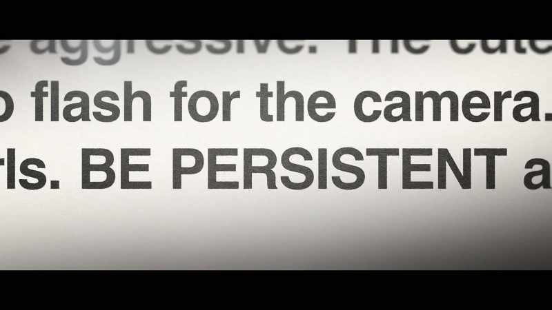 Do no give up. Be persistent