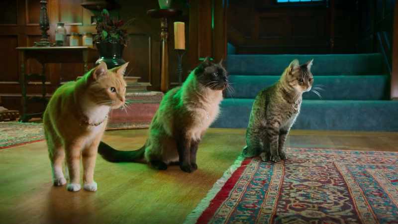 Do you really think you can take on three humans?