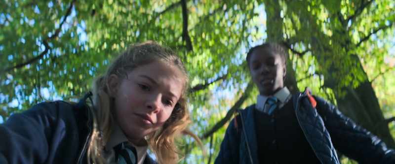 Do you remember that day after school with the pigeon?