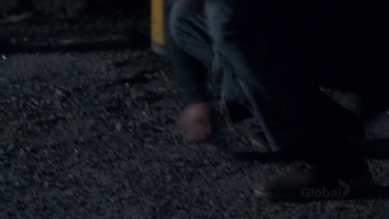 Do you see that? - ROHAN, GET DOWN!