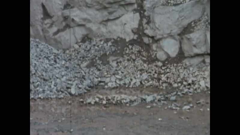 Do you think you could identify him again