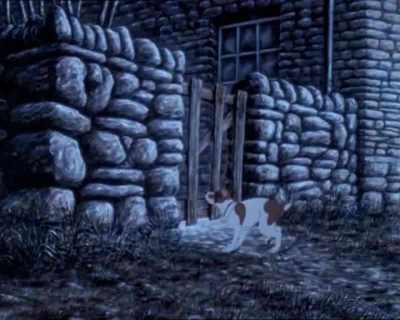 Do you think it's a sheep got in at the back