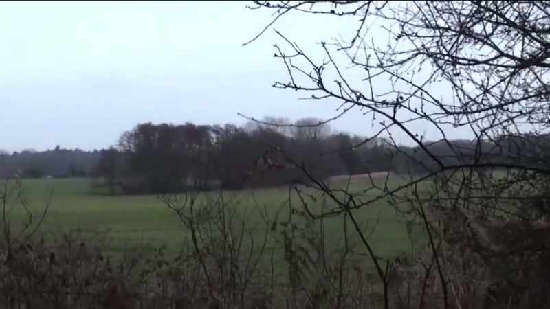 Do you think that you guys ran out into that field