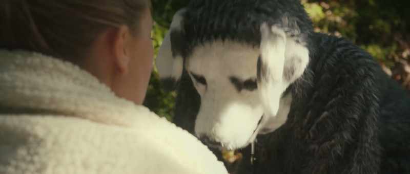 Do you want to kill him? -Yes, you have to