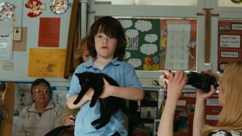 Do you want to say something about the cat