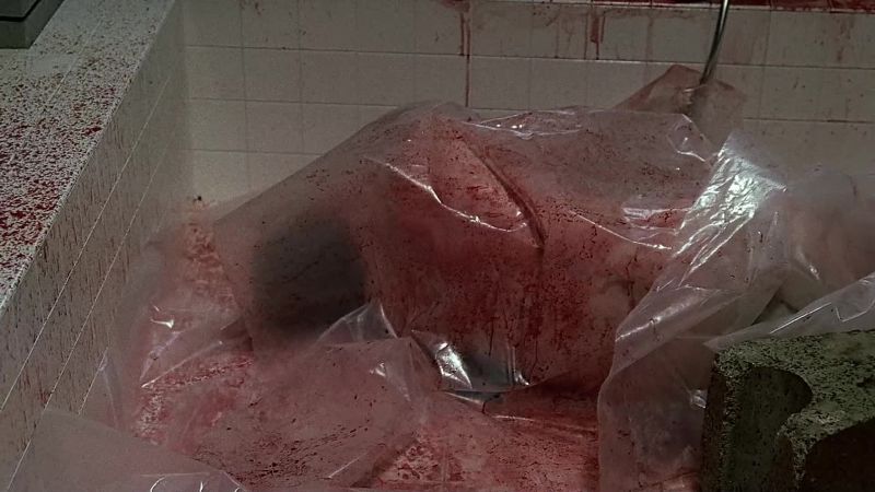 Do you want to suffer as he did?
