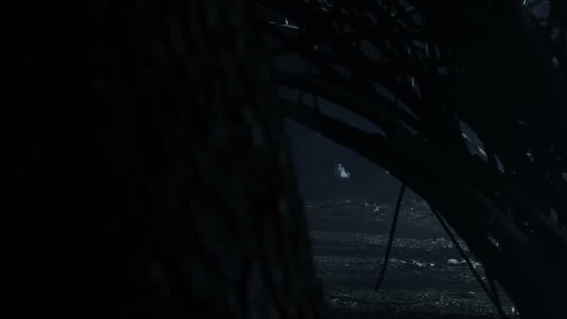 Do you see anything?