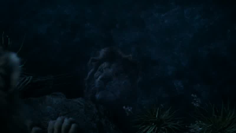 Do you see him?