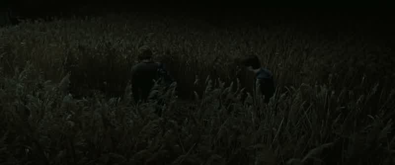 Do you think he knows?