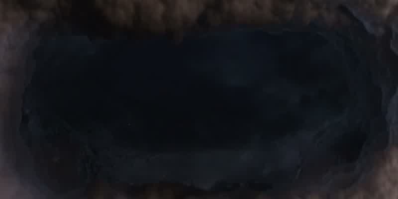 Do you think they're coming back?