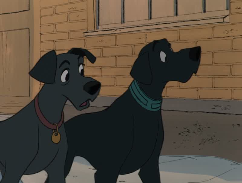 Do you think they've seen us?