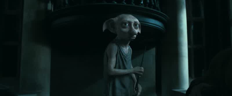 Dobby has no master