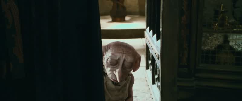 Dobby. So this is your master. The family you serve is the Malfoys. I'll deal with you later