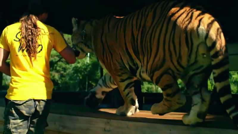 DOC: This is the animal extremists' false narrative
