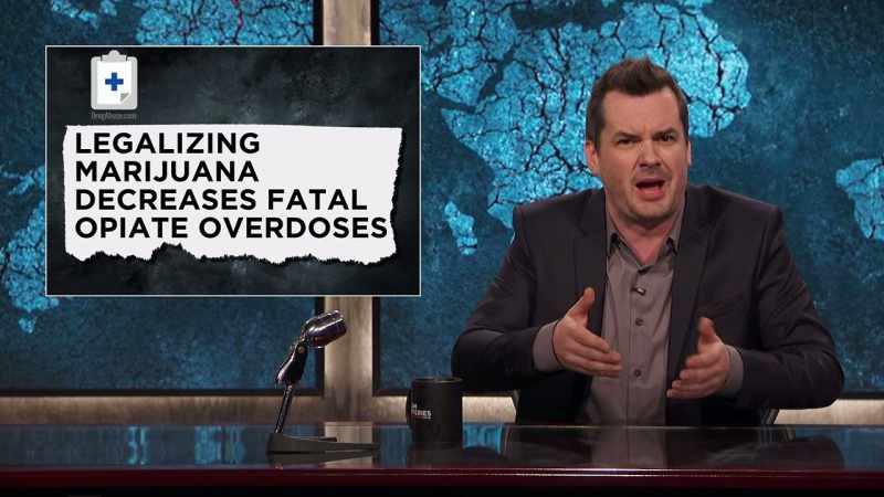 DOCTORS IN MEDICAL MARIJUANA