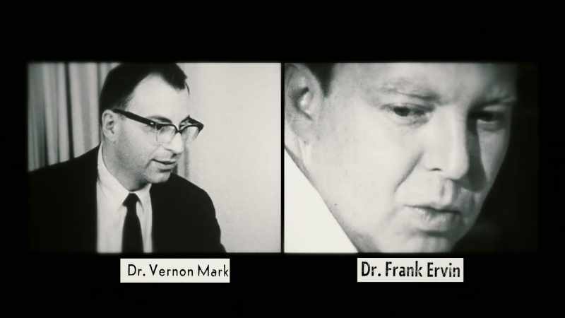 Doctors Vernon Mark and Frank Ervin were emerging stars