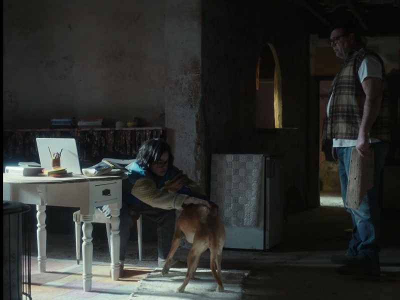 Does this dog not bark or what? - Yes, when he wants to