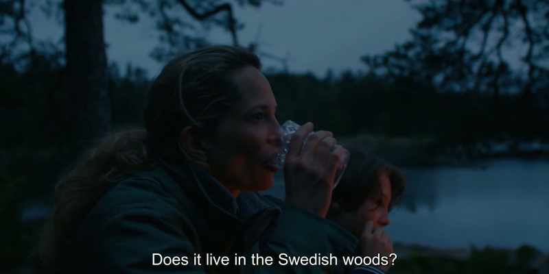 Does it live in the Swedish woods?